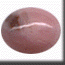 OPOLITE